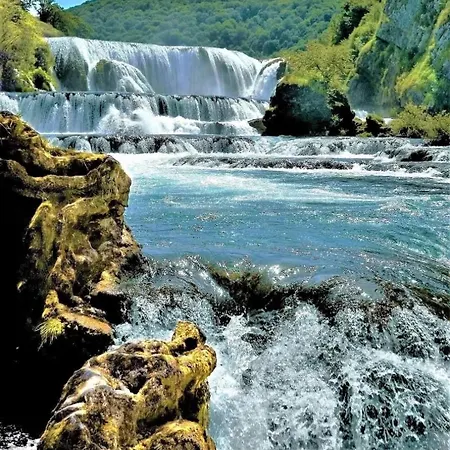 Bellevue * Bihać